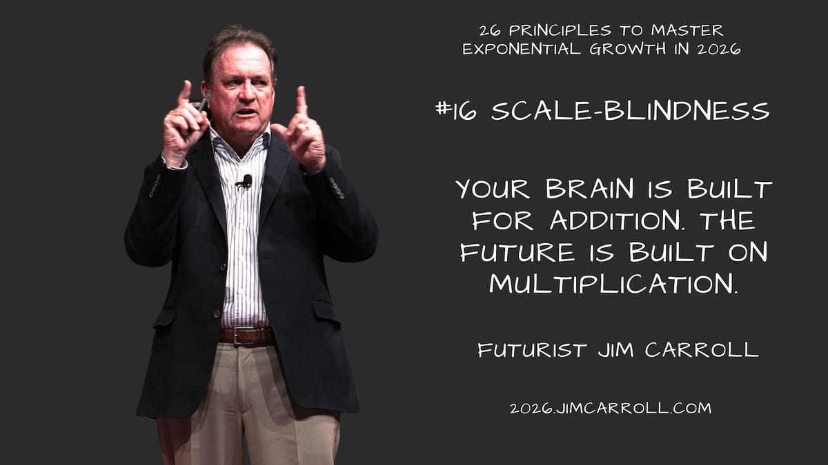 26 Principles for 2026: #16 - Scale-Blindness