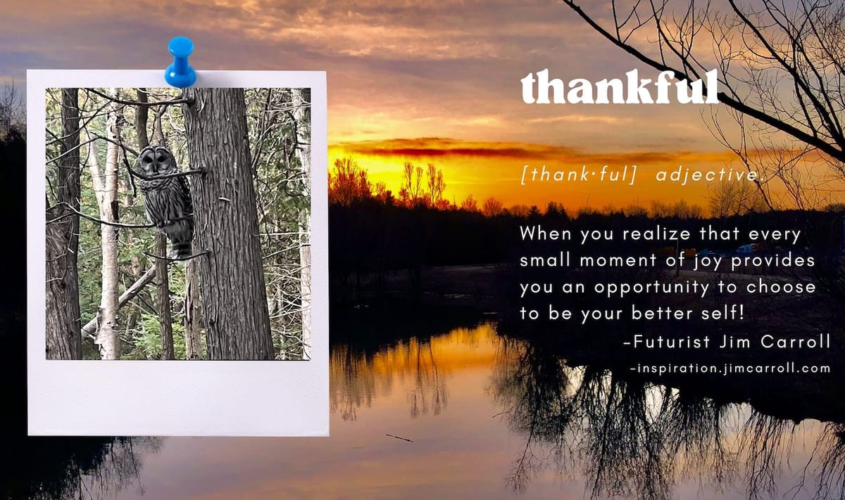 Gratitude. And Moss.