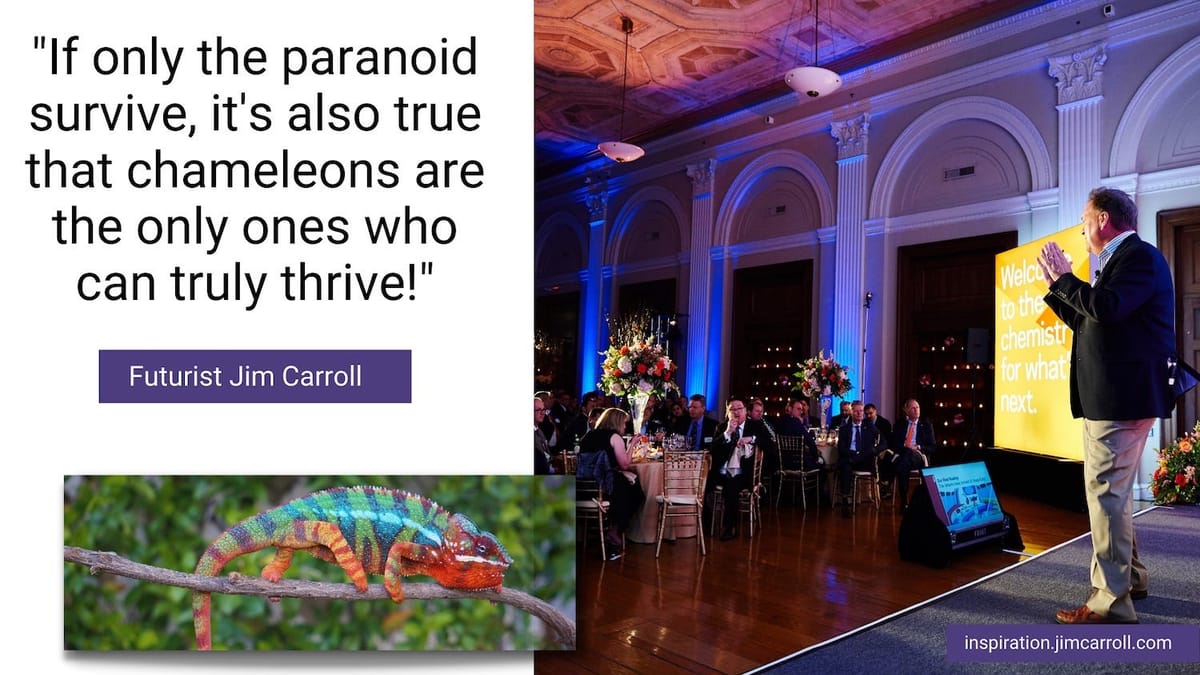 Chameleons